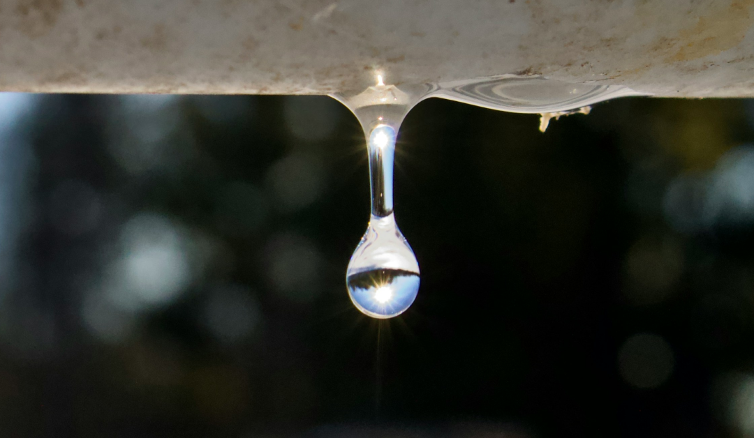 The Real Cost of a Leaking Tap: What That Drip Actually Costs Over 12 Months