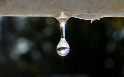 The Real Cost of a Leaking Tap: What That Drip Actually Costs Over 12 Months