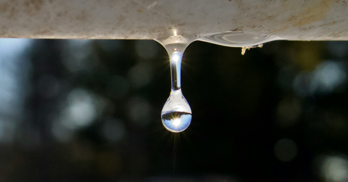 The Real Cost of a Leaking Tap_ What That Drip Actually Costs Over 12 Months Close-up of a leaking tap dripping water into a sink